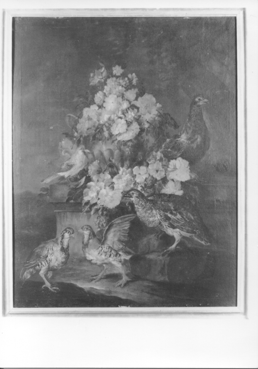 vaso con fiori e uccelli (dipinto, opera isolata) di Crivelli Giovanni detto Crivellino (secondo quarto sec. XVIII)