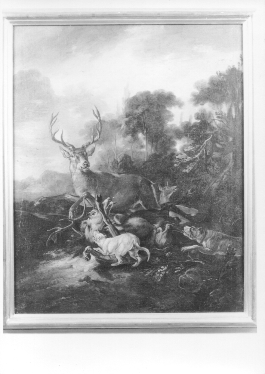 caccia al cervo (dipinto, opera isolata) di Crivelli Giovanni detto Crivellino (secondo quarto sec. XVIII)