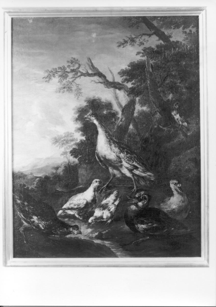 paesaggio con alberi e uccelli (dipinto, opera isolata) di Crivelli Giovanni detto Crivellino (secondo quarto sec. XVIII)