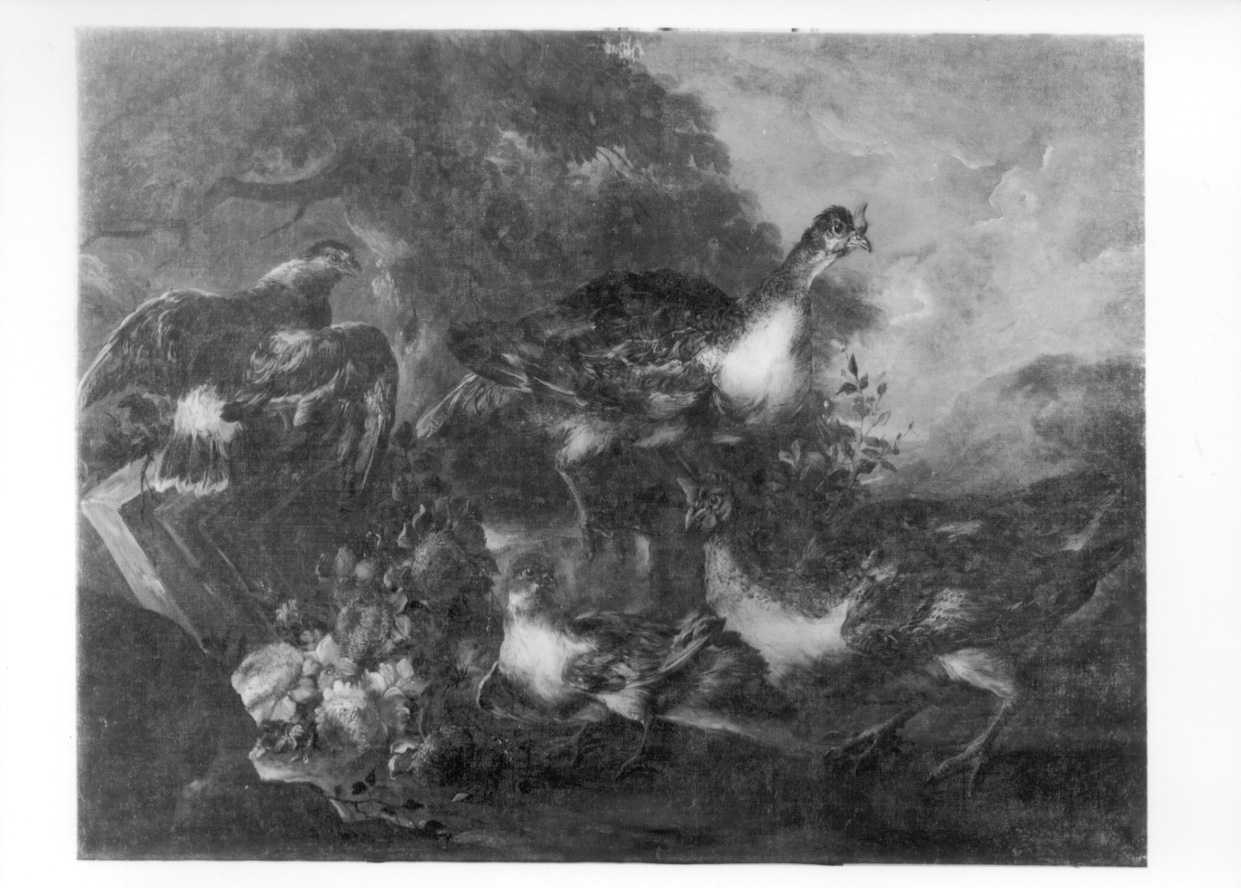 fiori e uccelli (dipinto, opera isolata) di Crivelli Giovanni detto Crivellino (secondo quarto sec. XVIII)