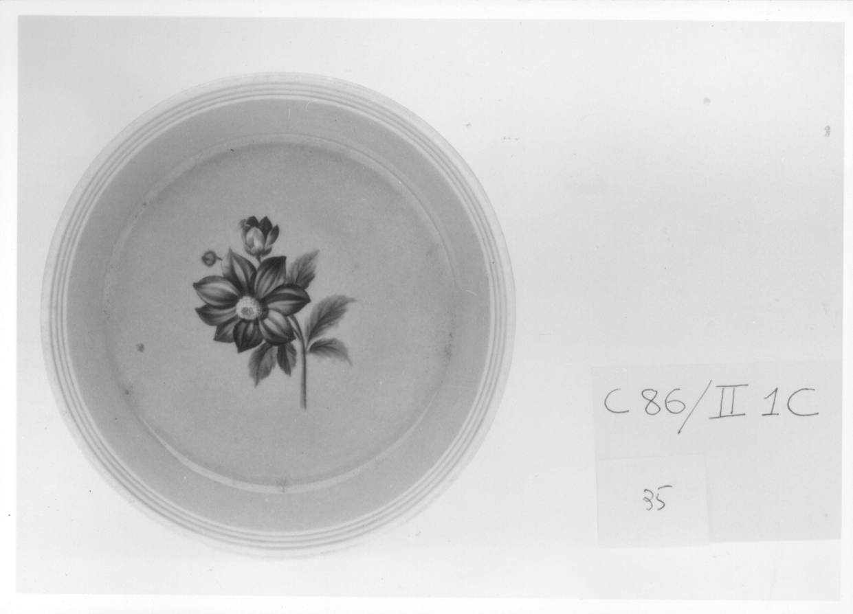 motivo decorativo floreale (piattino, opera isolata) di Manifattura Imperiale di Vienna (secondo quarto sec. XIX)