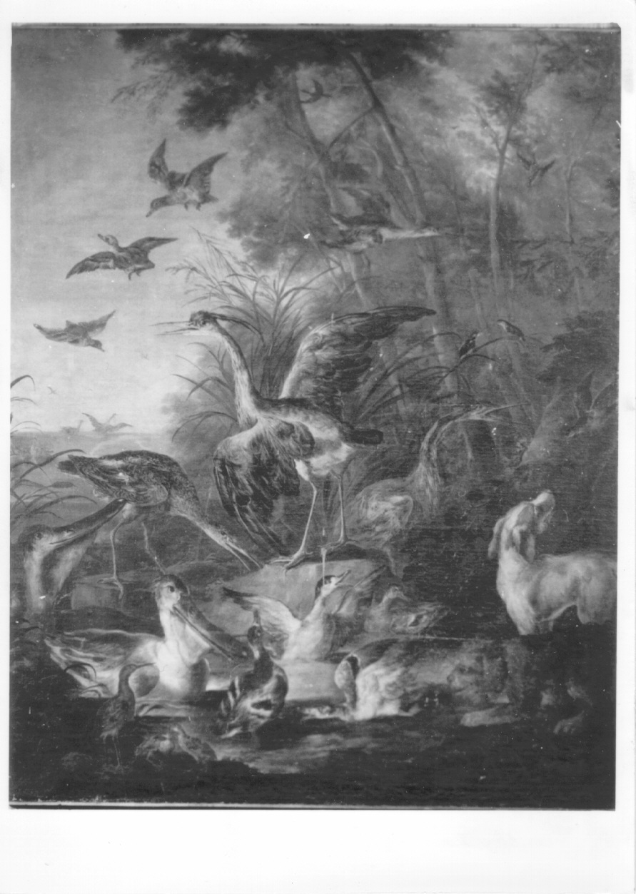 uccelli e cane (dipinto, opera isolata) di Crivelli Giovanni detto Crivellino (metà sec. XVIII)