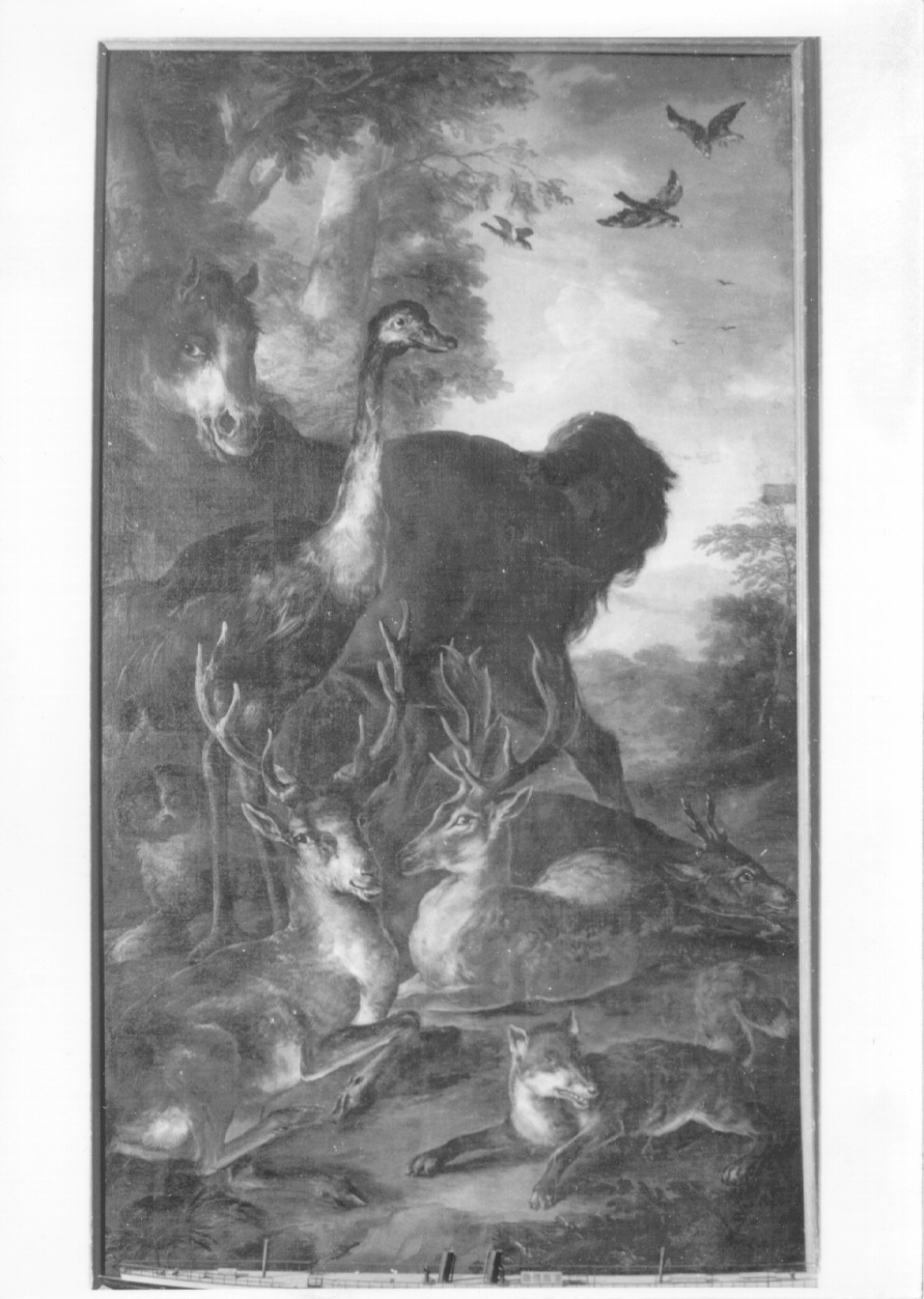 animali (dipinto, opera isolata) di Crivelli Giovanni detto Crivellino (metà sec. XVIII)