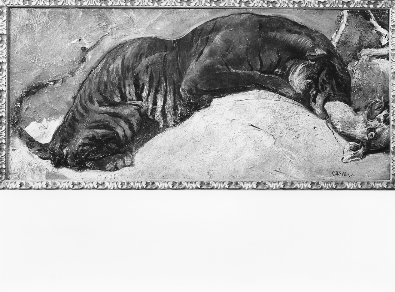tigre che sbrana la preda, scena di caccia (dipinto) di Sartorio Giulio Aristide (fine/inizio secc. XIX/ XX)