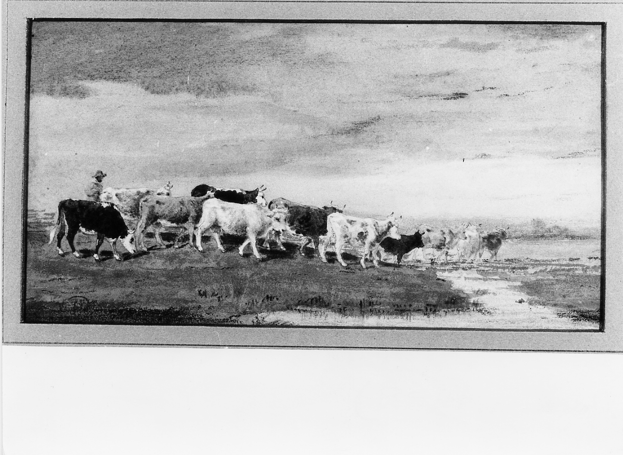 mucche al pascolo, scena campestre (dipinto) di Monogrammista I. C (sec. XIX)
