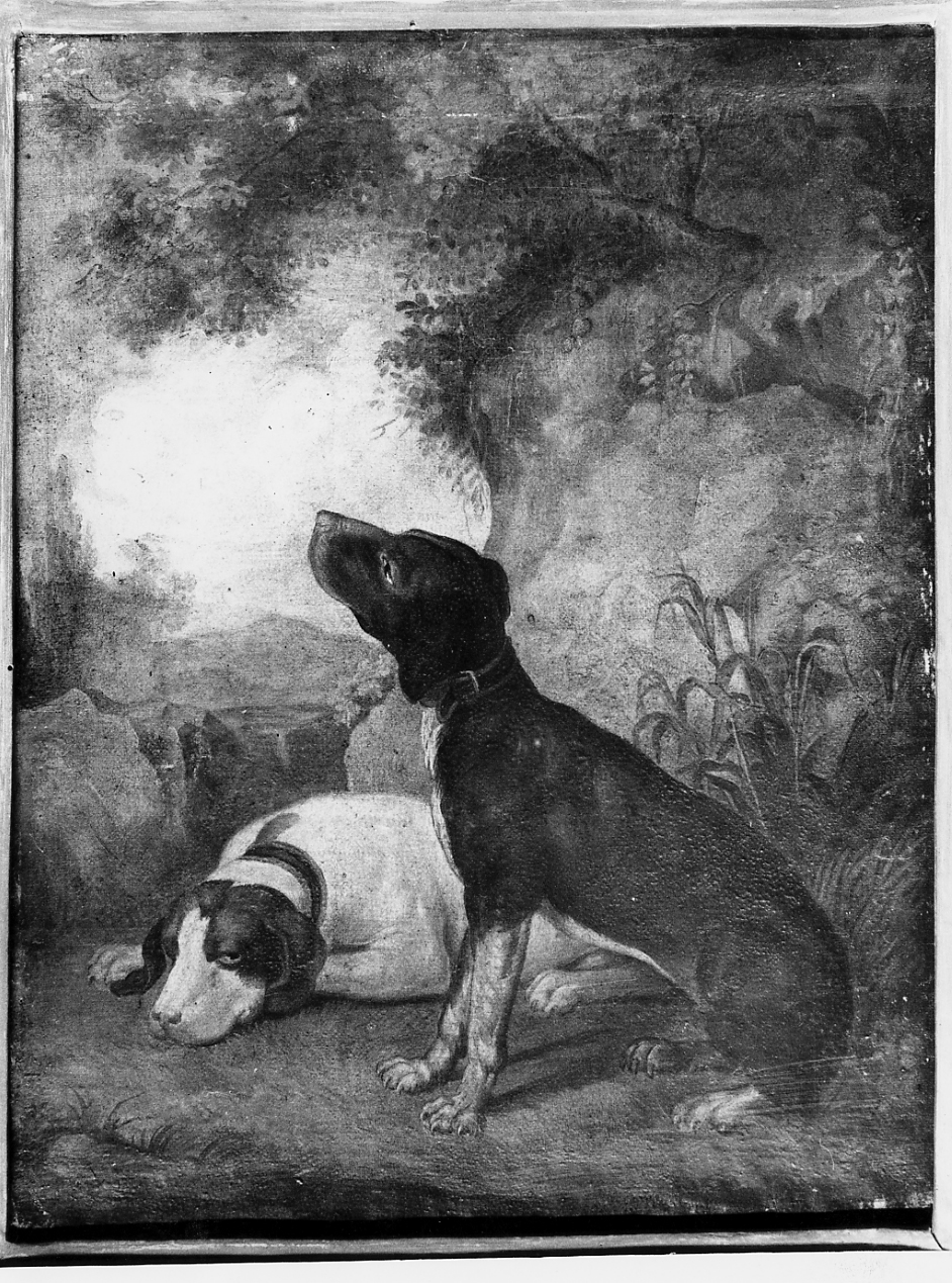 cani in un bosco (dipinto) - ambito Italia centrale (sec. XIX)
