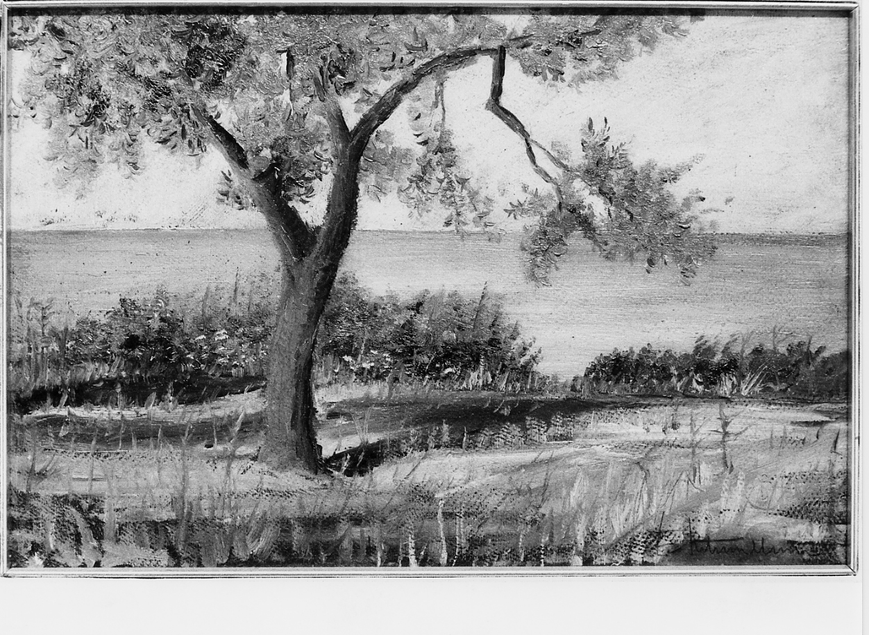 vasto - localita' in trave, marina con albero (dipinto) di Ritucci Chinni Florindo (prima metà sec. XX)