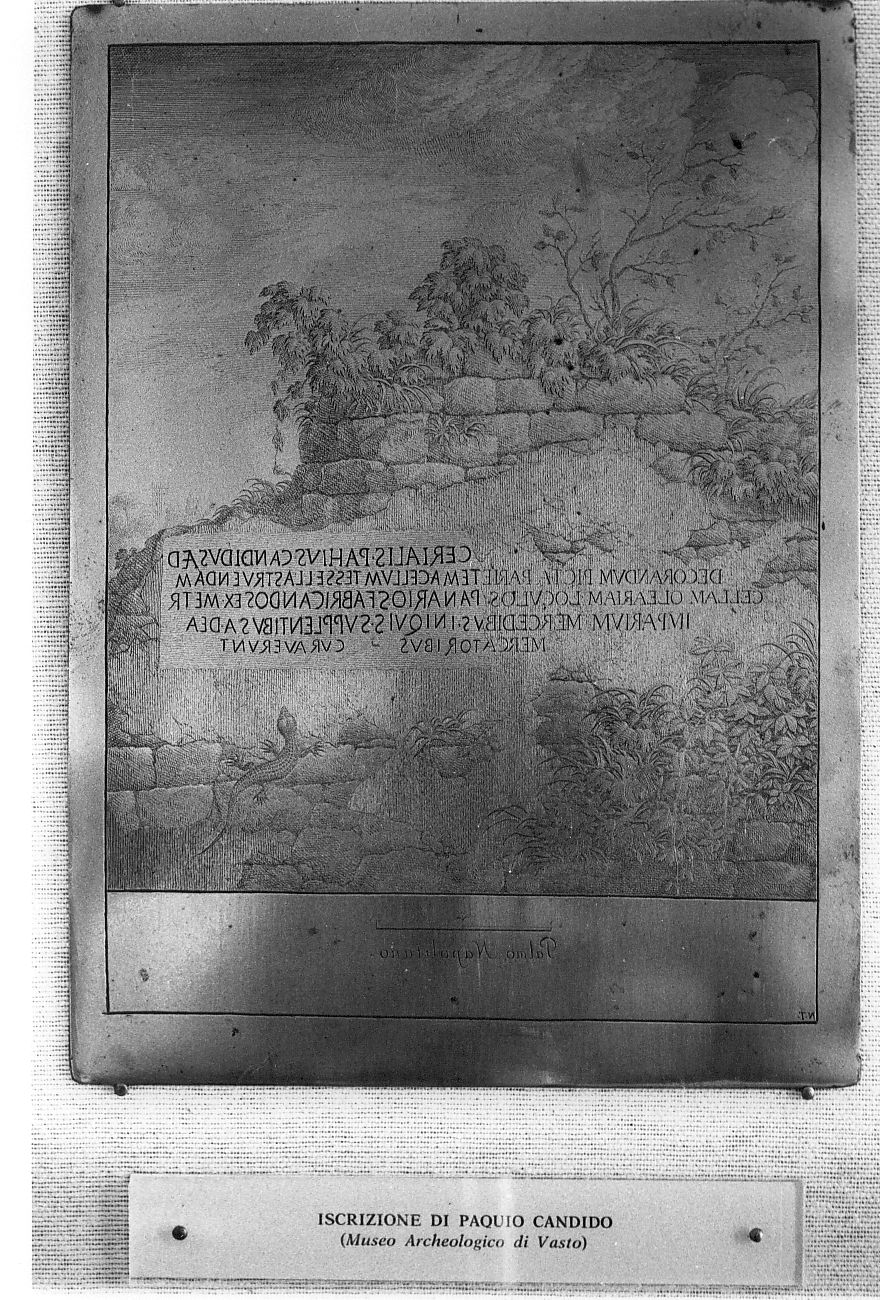 iscrizione di Paquio Candido, iscrizione (stampa) di Tiberi Nicola (sec. XVIII)