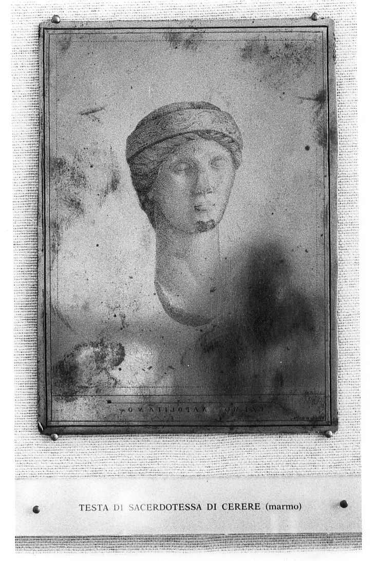 testa di sacerdotessa di Cerere, testa di donna (stampa) di Tiberi Nicola (sec. XVIII)