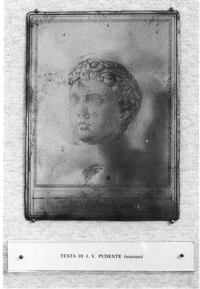 testa di Lucio Valerio Pudente, testa d'uomo (stampa) di Tiberi Nicola (sec. XVIII)