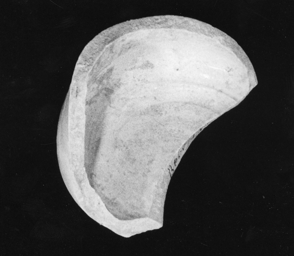 base di alberello, frammento - manifattura abruzzese (fine/inizio secc. XVIII/ XIX)
