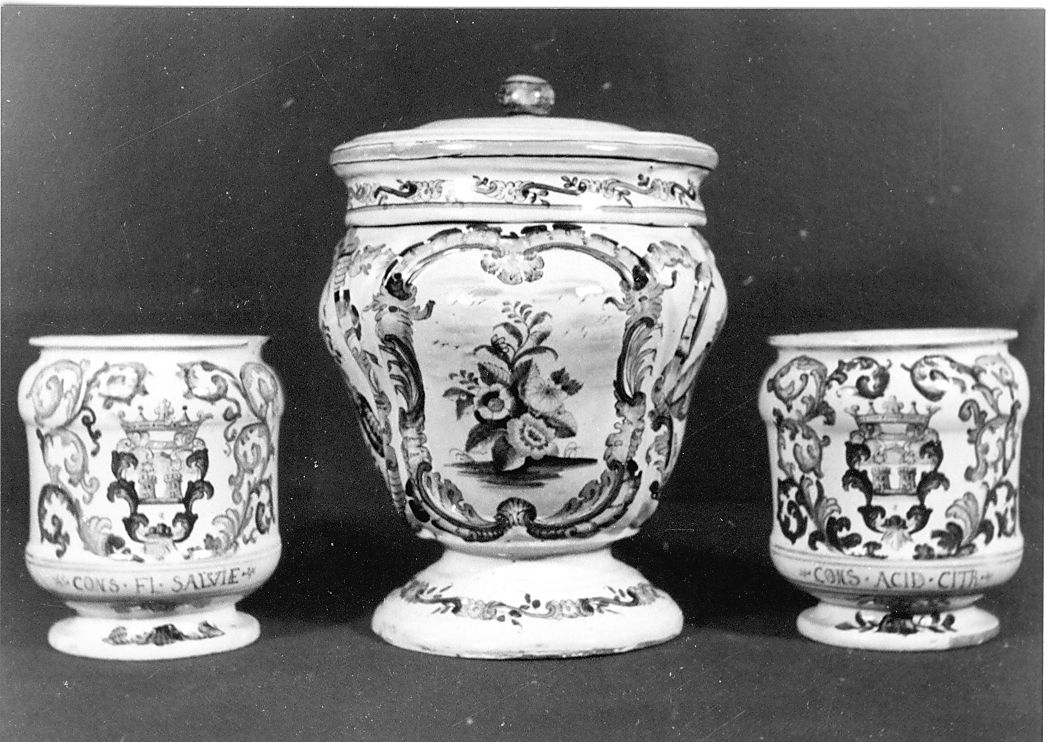 motivi decorativi floreali (vaso da farmacia, serie) - manifattura Italia centrale (sec. XVIII)