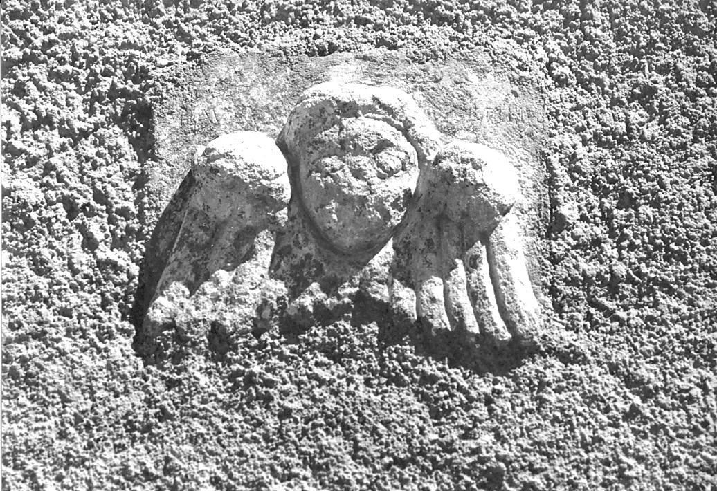 cherubino (rilievo, opera isolata) - bottega abruzzese (sec. XVIII)