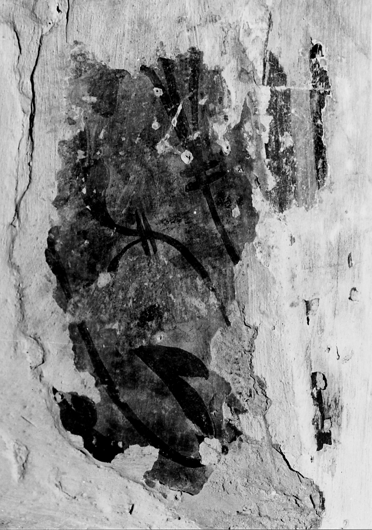 motivo decorativo fitomorfo (dipinto, frammento) - ambito Italia centrale (fine/inizio secc. XIII/ XIV)