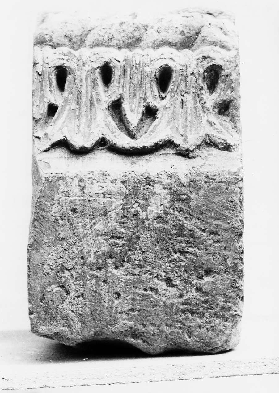 motivi decorativi vegetali (decorazione plastica, frammento) - ambito Italia centrale (sec. XIV)