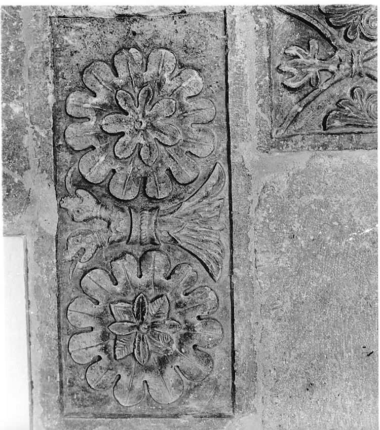 motivi decorativi a girali vegetali (rilievo) - ambito Italia centrale (sec. XII)
