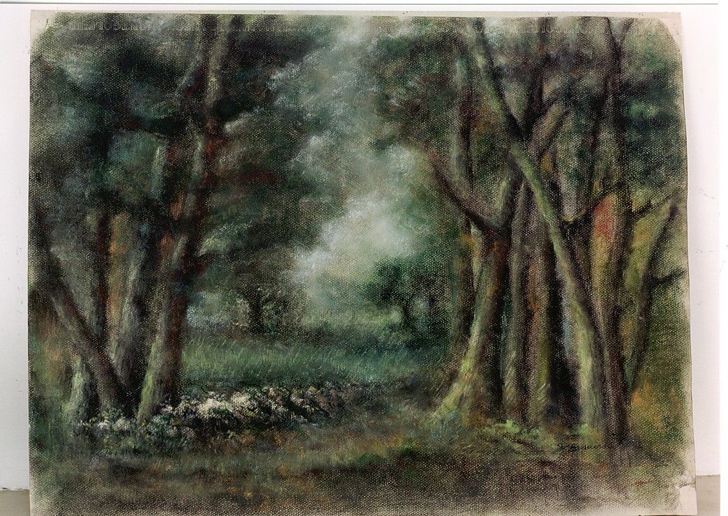 Paesaggio con alberi, paesaggio (dipinto) di De Bernardo (sec. XX)