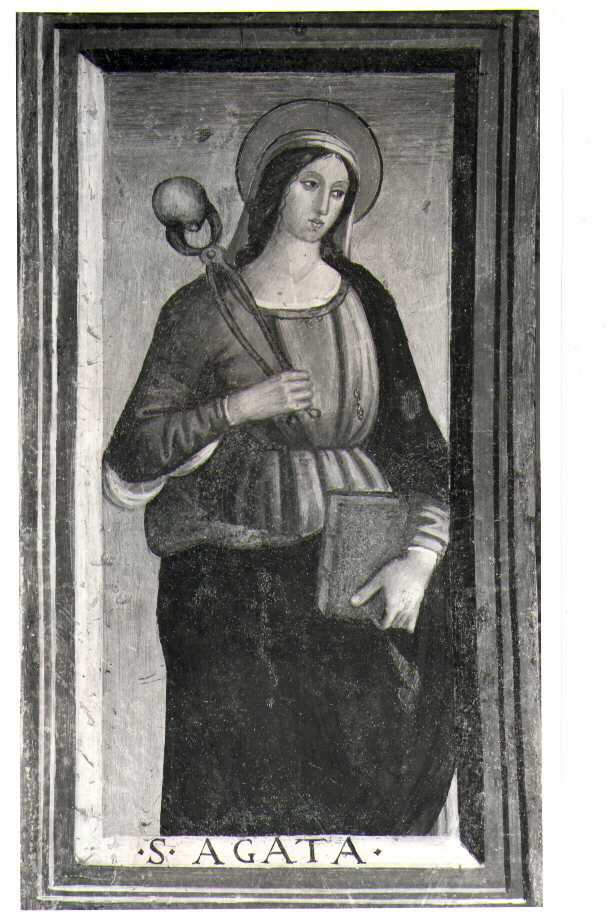Sant'Agata (dipinto, elemento d'insieme) di Luce Giovanni (sec. XVI)