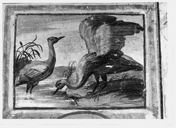 animali (dipinto) - ambito Italia meridionale (fine/inizio secc. XVIII/ XIX)