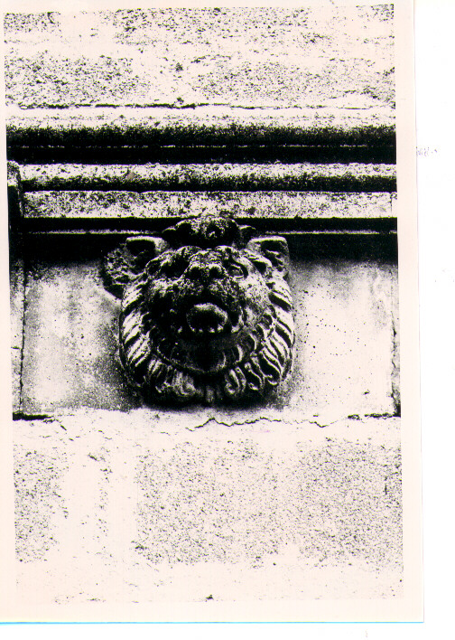 leone (mensola, serie) - bottega lucana (sec. XVI)