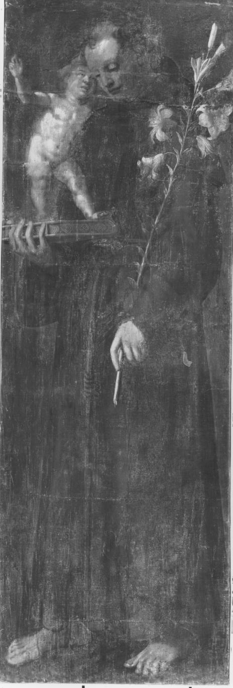 San Francesco d'Assisi (dipinto) di Ferri Pietro Antonio (attribuito) (sec. XVII)