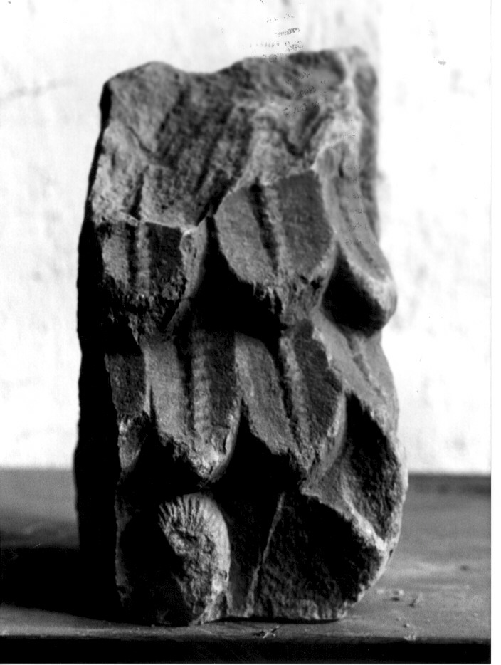 semicapitello, frammento - bottega Italia meridionale (fine/inizio secc. XI/ XII)