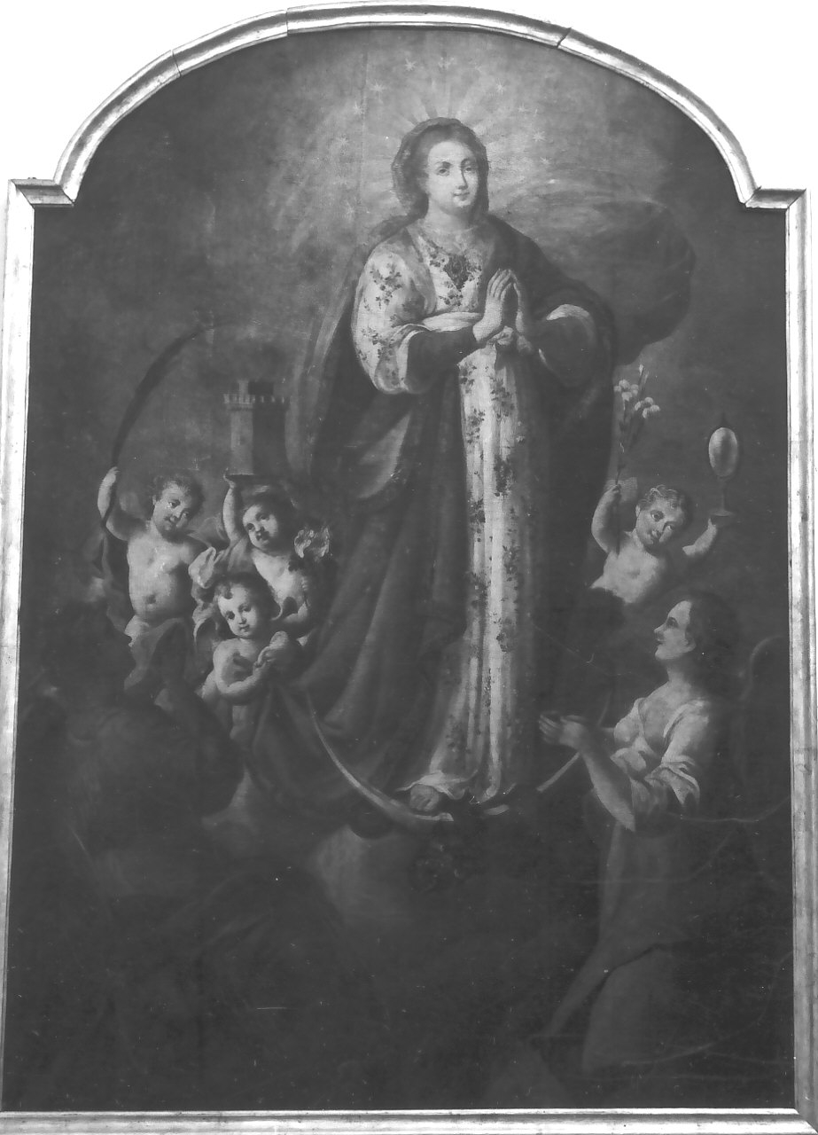 Madonna Immacolata (dipinto, opera isolata) - ambito calabrese (fine sec. XVIII)