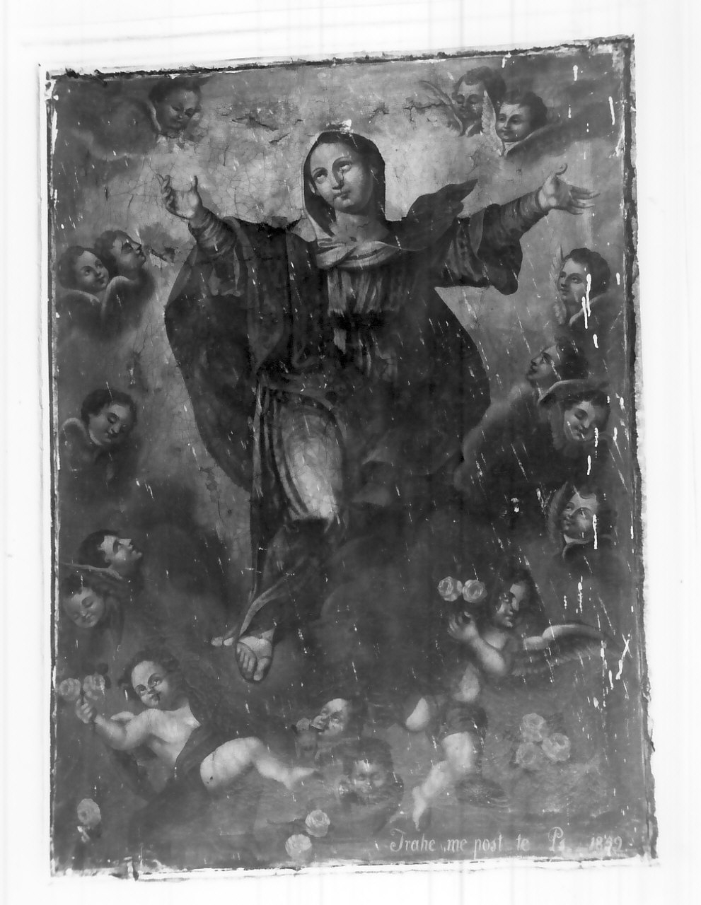 Madonna Assunta (dipinto, opera isolata) - ambito Italia meridionale (sec. XIX)