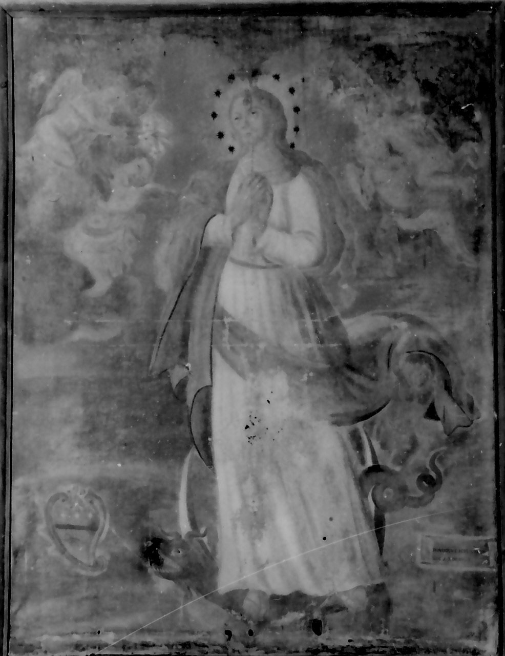 Immacolata Concezione (dipinto, opera isolata) di Sculco Domenico (sec. XVIII)