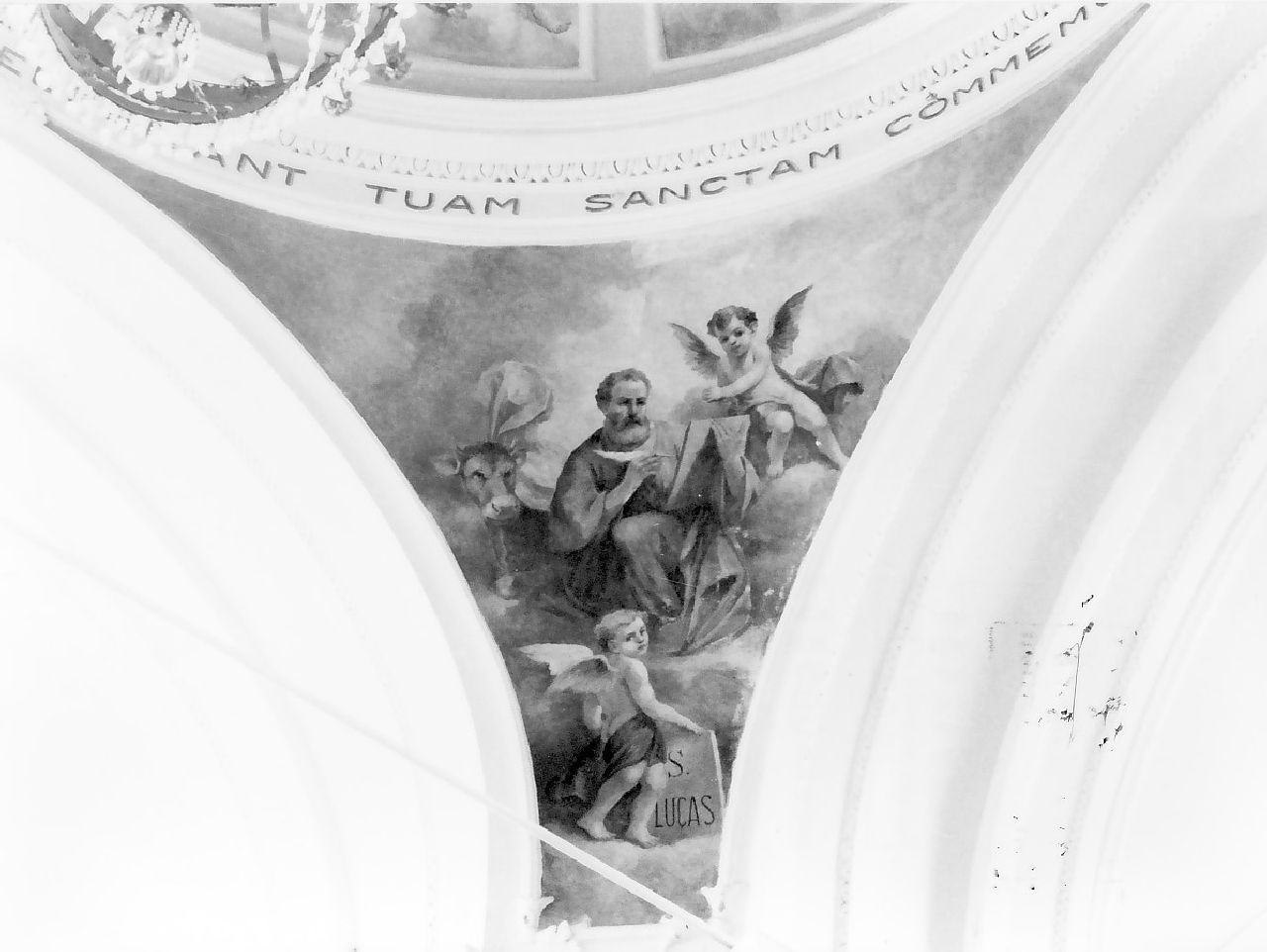 San Luca (dipinto, elemento d'insieme) di Grillo Domenico (seconda metà sec. XIX)