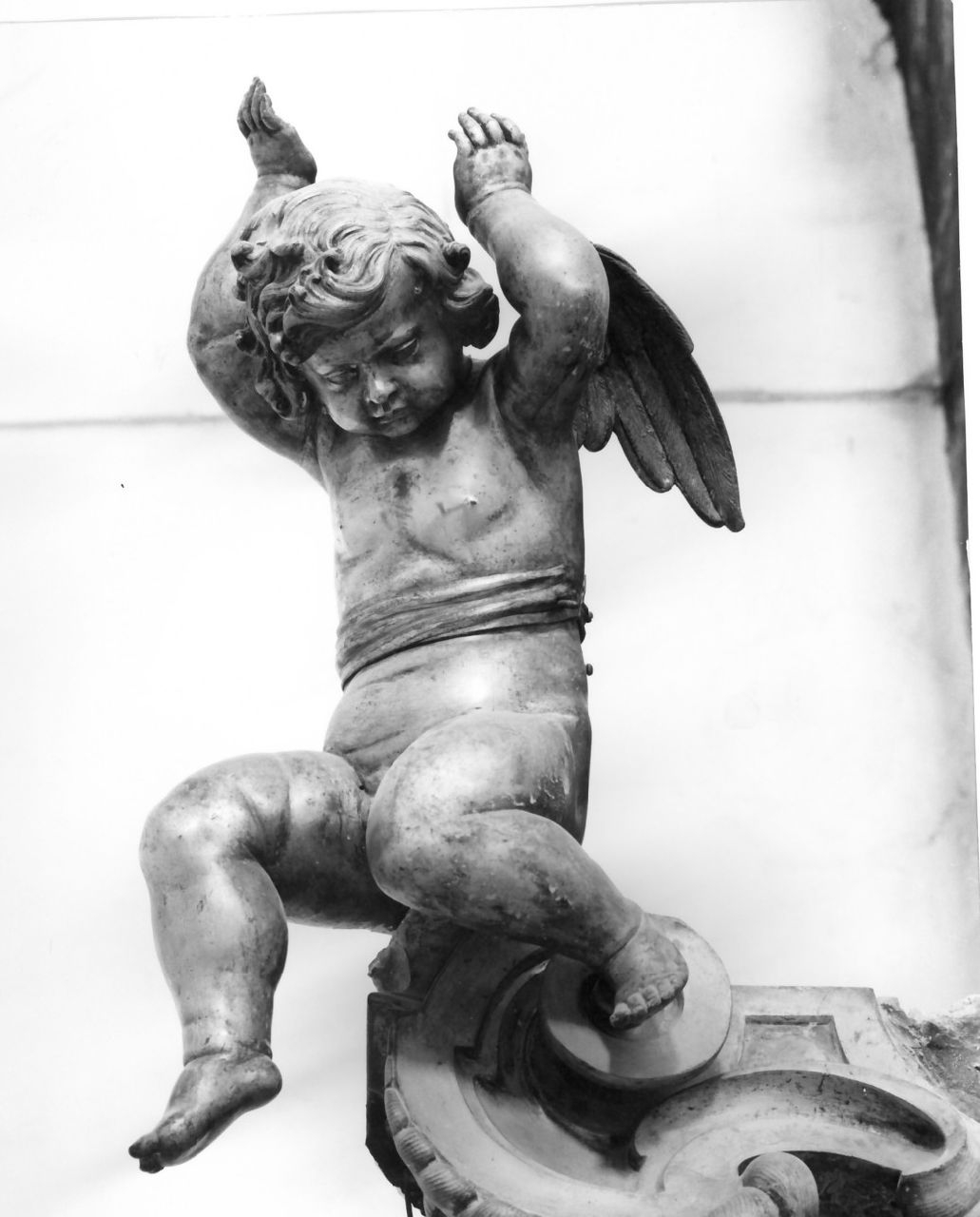 putto alato (scultura, elemento d'insieme) di Fanzago Cosimo (scuola) (sec. XVII)