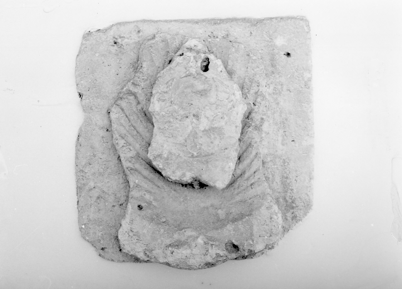 stemma (decorazione plastica, frammento) - bottega calabrese (sec. XVI, sec. XVII)