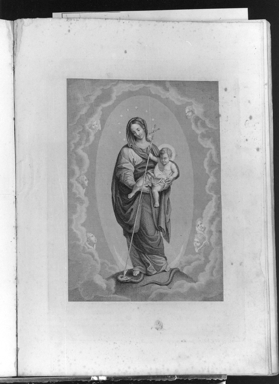 Madonna Immacolata (stampa) di Tipografia Salviucci (sec. XIX)