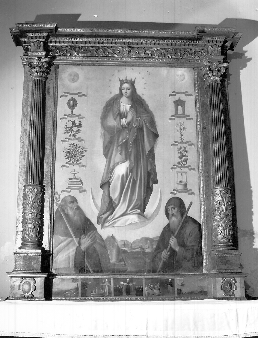 Immacolata Concezione (dipinto, opera isolata) di Amato Francesco (attribuito) (fine/inizio secc. XVI/ XVII)