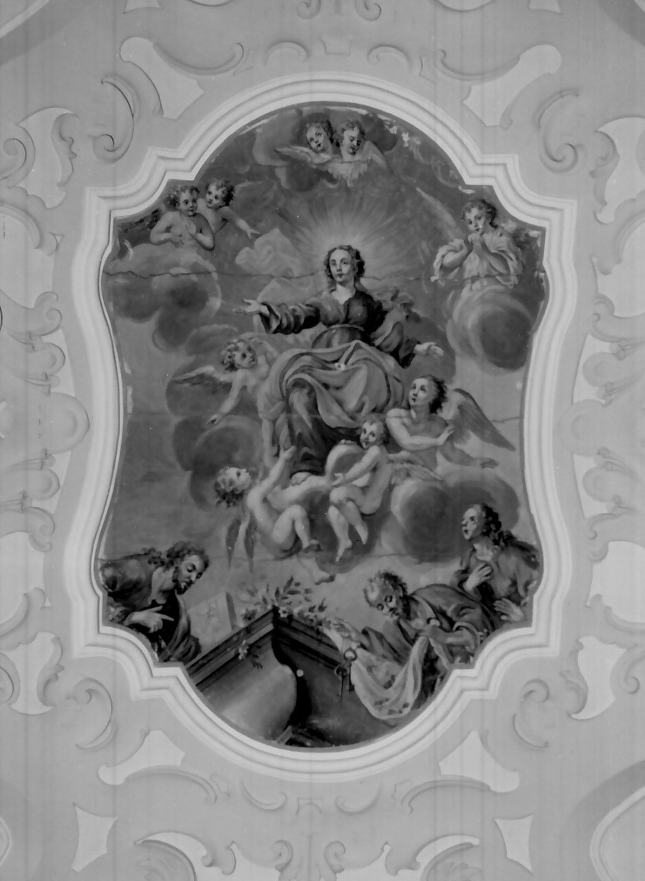 assunzione della Madonna (dipinto, opera isolata) di Gualtieri Genesio (sec. XVIII)