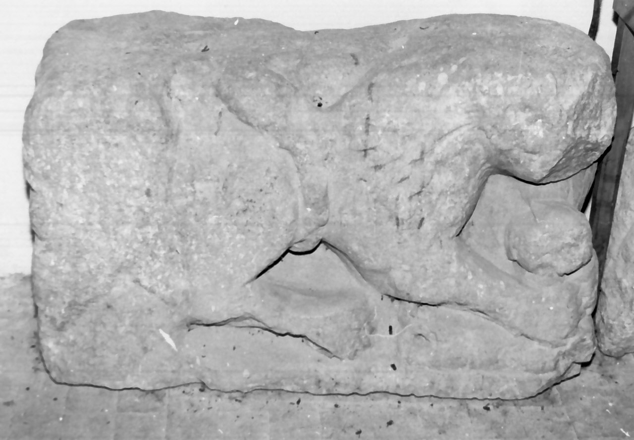 leone (decorazione plastica, frammento) - bottega Italia meridionale (prima metà sec. XII)