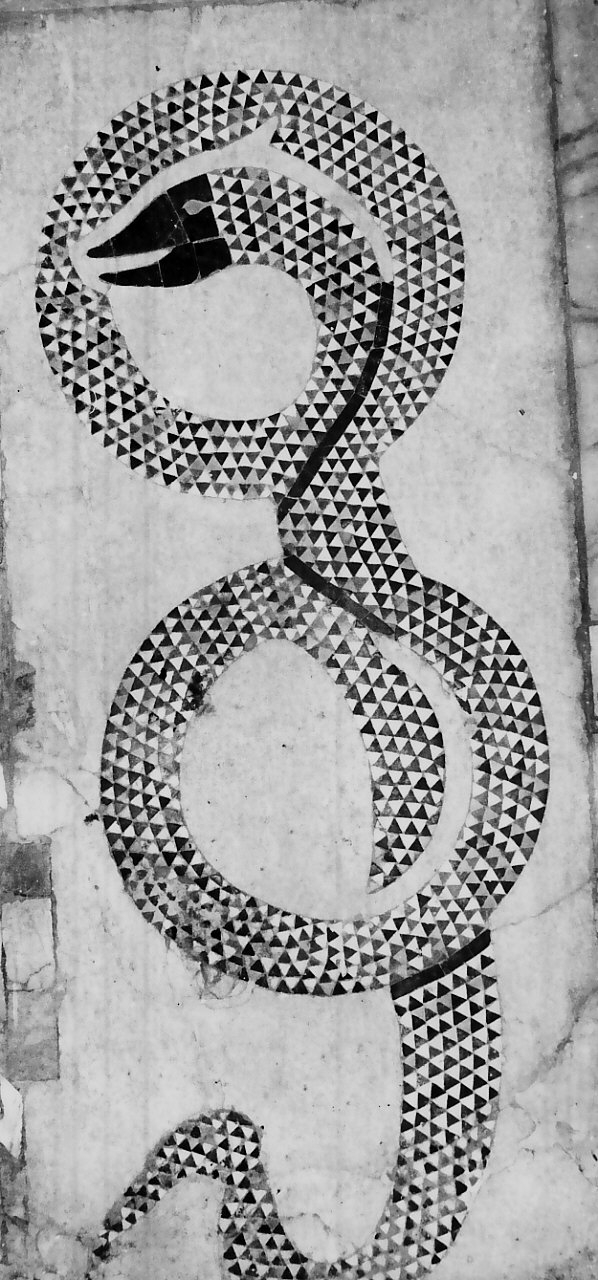 serpente (decorazione musiva) - bottega Italia meridionale (sec. XII)