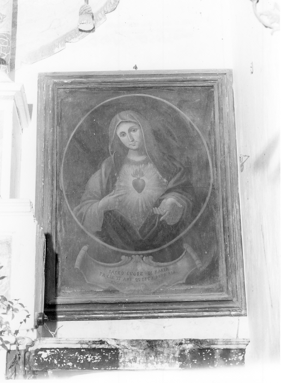 Sacro Cuore di Maria (dipinto, opera isolata) di Sacco Michele (sec. XIX)