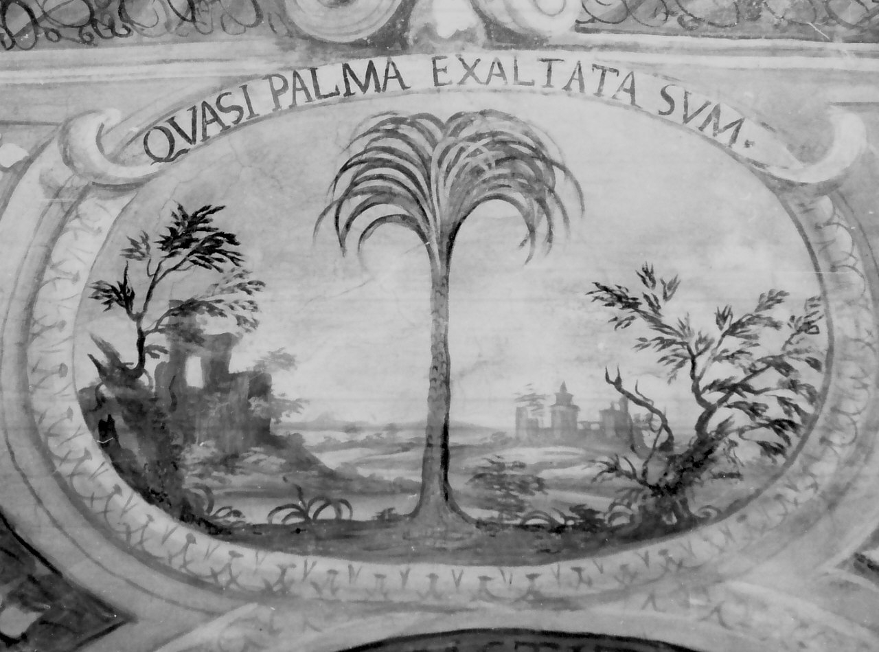 palma (dipinto, elemento d'insieme) - ambito Italia meridionale (inizio sec. XVIII)