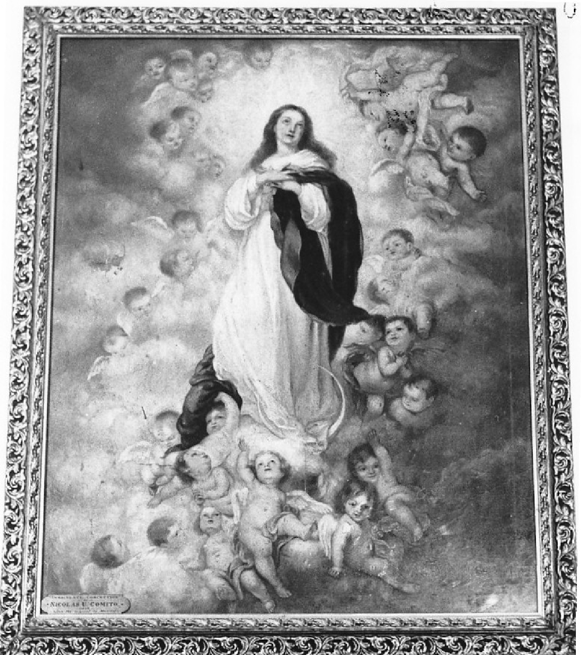 Madonna Immacolata (dipinto, opera isolata) di Comito Nicholas U (sec. XX)