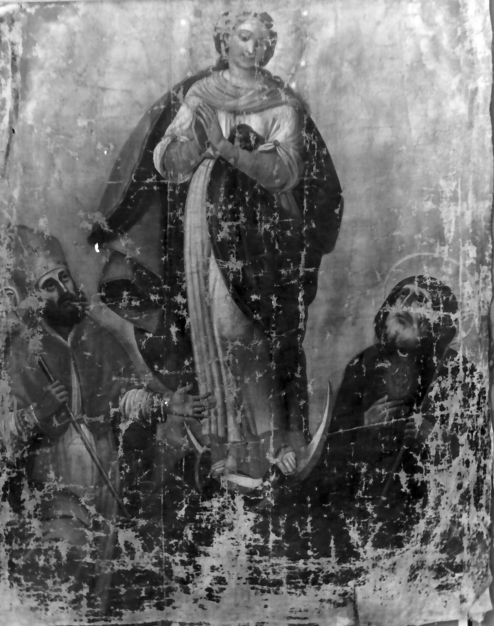 Immacolata Concezione e santi (dipinto, opera isolata) - ambito Italia meridionale (sec. XIX)