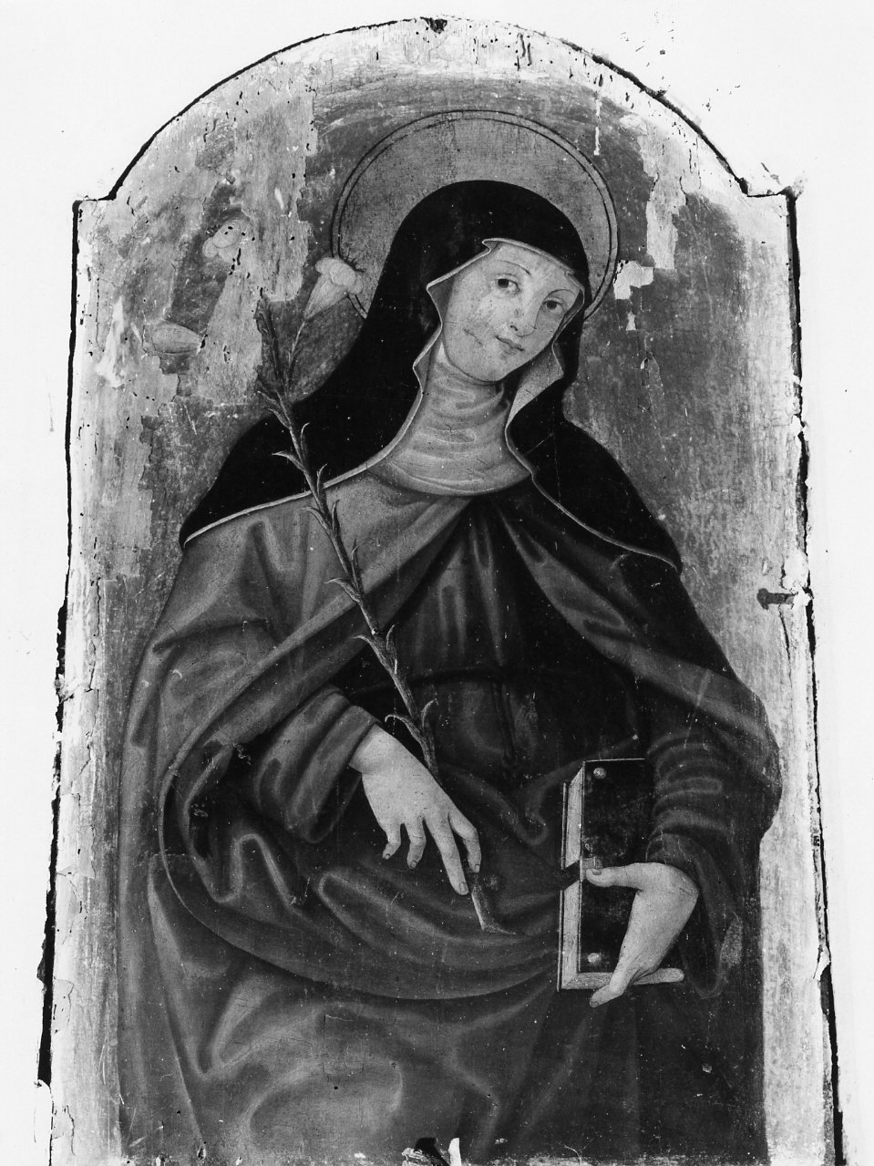 Santa Chiara (dipinto, serie) - ambito campano (primo quarto sec. XVI)