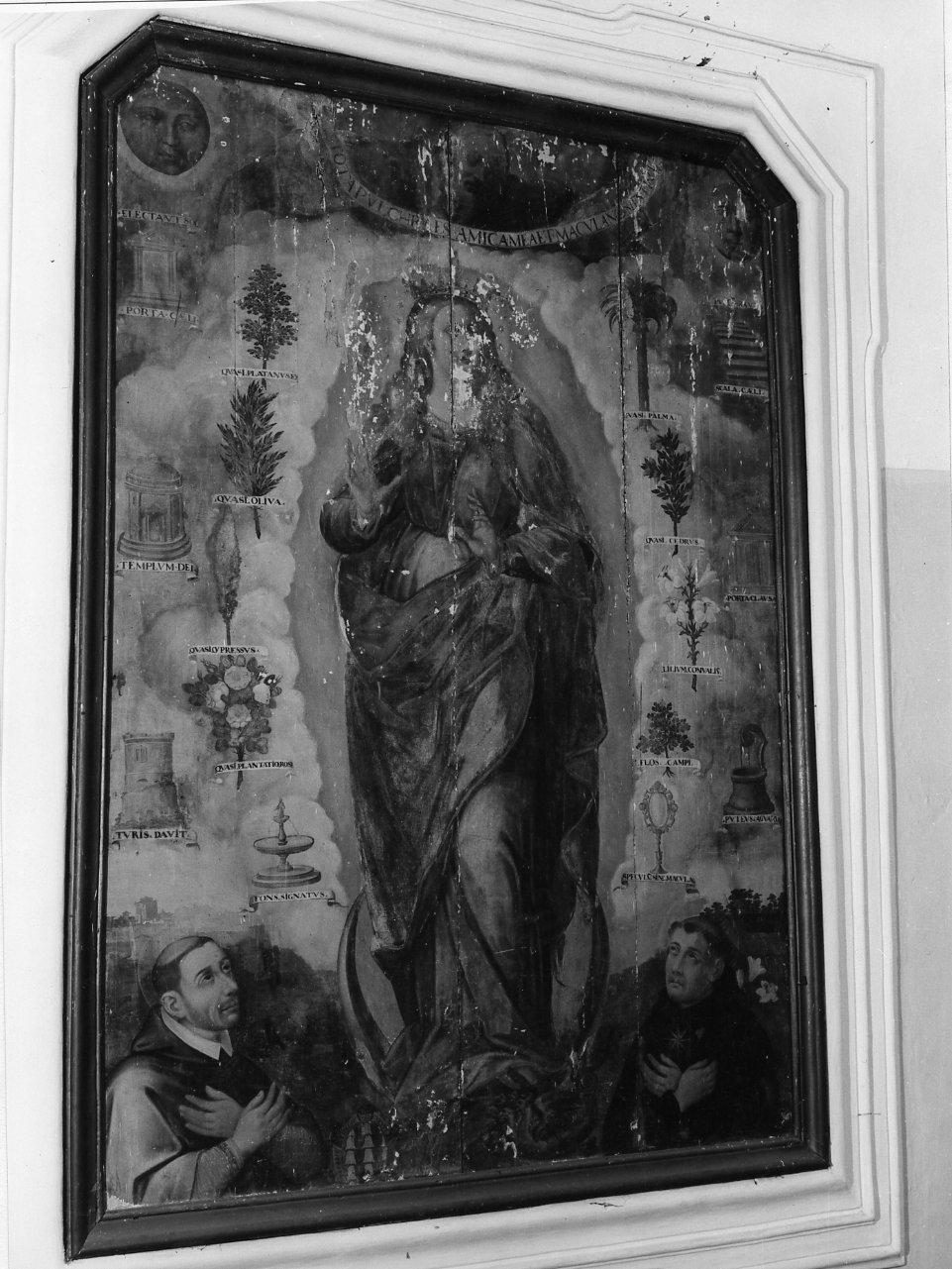 Immacolata Concezione e santi (dipinto) - ambito campano (seconda metà sec. XVI)