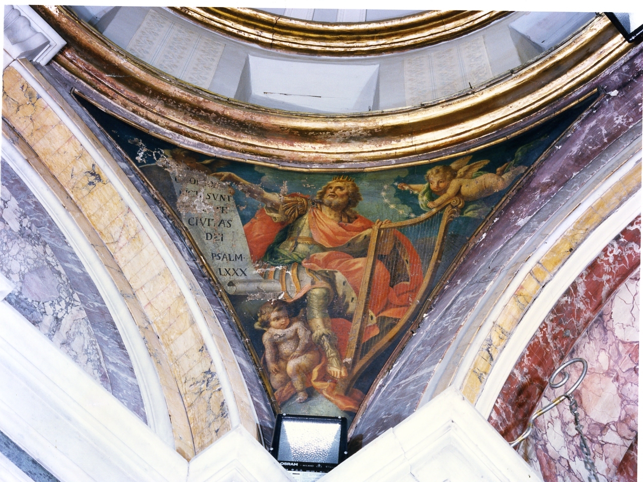 David (dipinto, elemento d'insieme) di Borrelli Carlo (sec. XVIII)