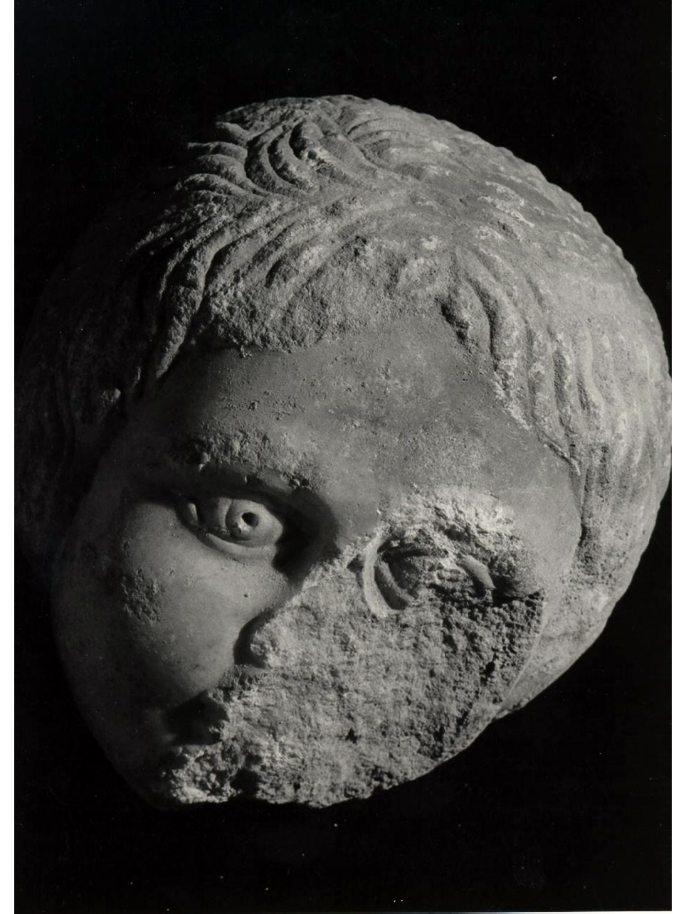 testa di fanciullo (scultura, frammento) - bottega napoletana (metà sec. XIV)