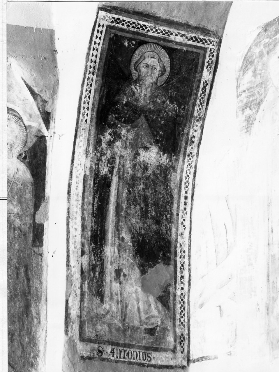 Sant'Antonio Abate (dipinto) - ambito napoletano (metà sec. XIV)