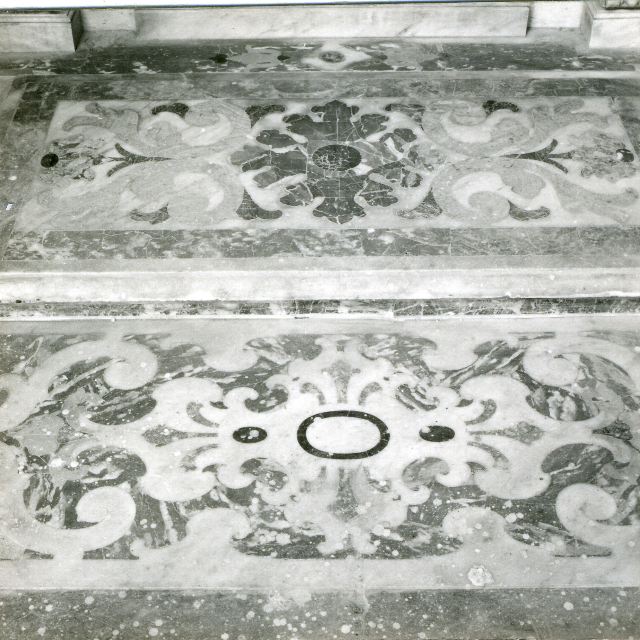 motivi decorativi vegetali (pavimento, serie) - bottega napoletana (inizio sec. XVIII)