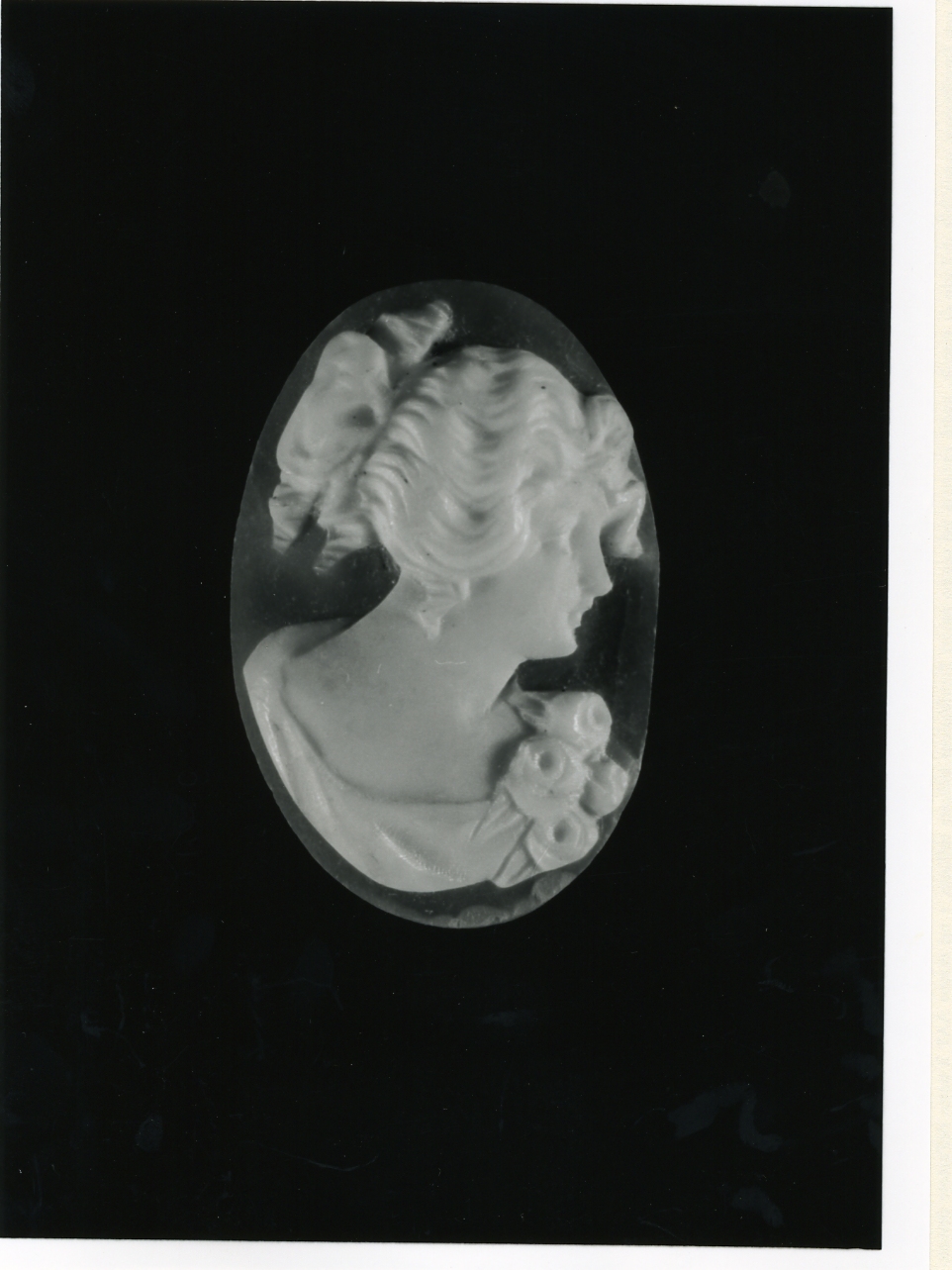 testa di donna (cammeo) - bottega napoletana (inizio sec. XX)