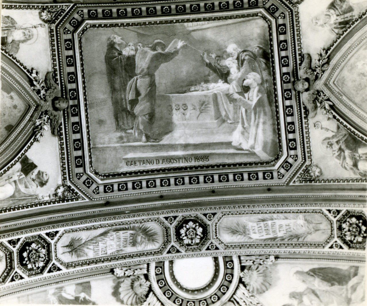 assunzione della Madonna (dipinto) di D'Agostino Gaetano (sec. XIX)