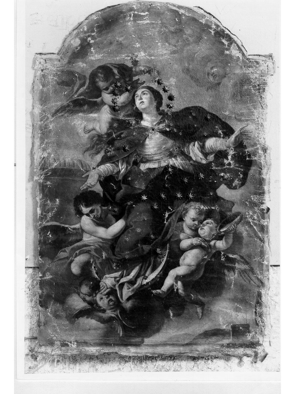 Madonna Assunta (dipinto) di Solimena Francesco detto Abate Ciccio (cerchia) (prima metà sec. XVIII)